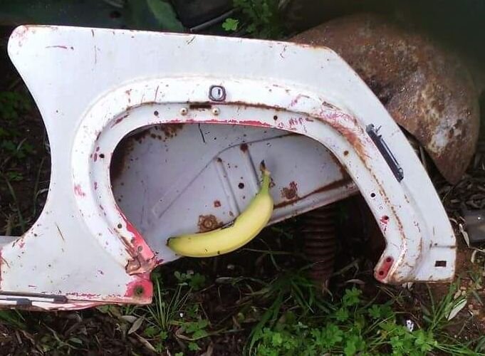 banana-prom.jpg.abebfa82eda63ea7d530c8bae2556019.jpg