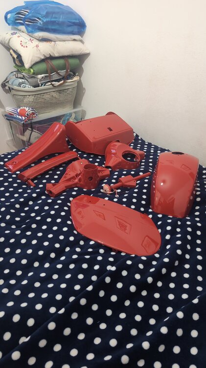 IMG-20261024-WA0065.jpeg