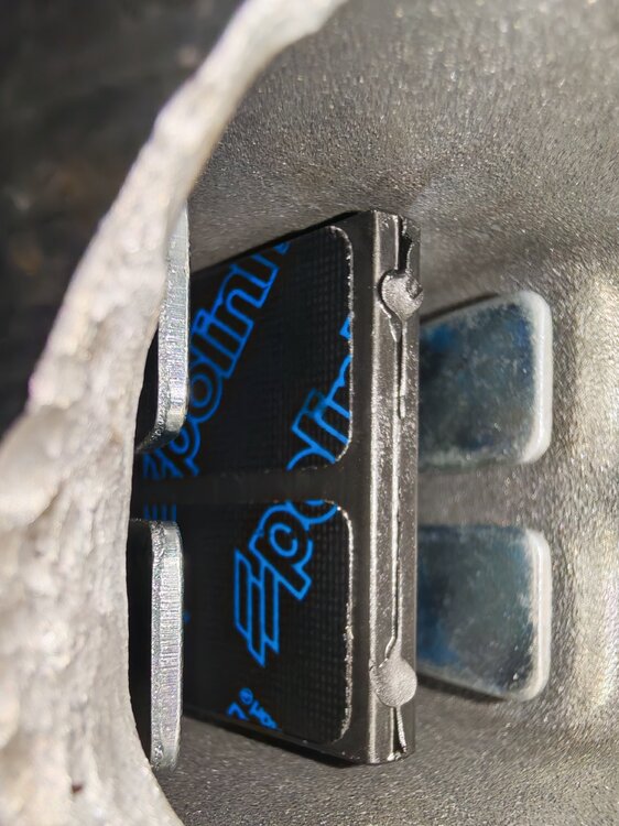 IMG_20261020_214642.thumb.jpg.baf2075bf4a5248be6a7a6284d69da65.jpg