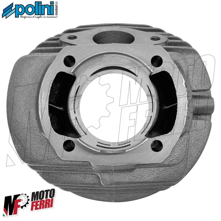 MF7254-Cilindro-Polini-Evolution-135-Dm-58-Ghisa-Vespa-50-125-Special-ET3-Ape-PK.thumb.jpg.1a007393d62f12387bfd3d43551a8d44.jpg