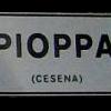 pioppa03